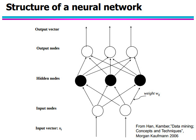 Structure of a neural network