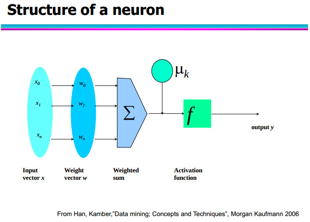 Structure of a neuron